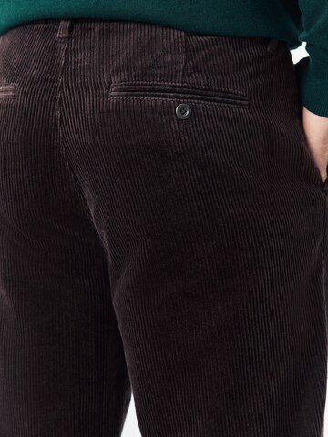 Next Regular Hose in Braun