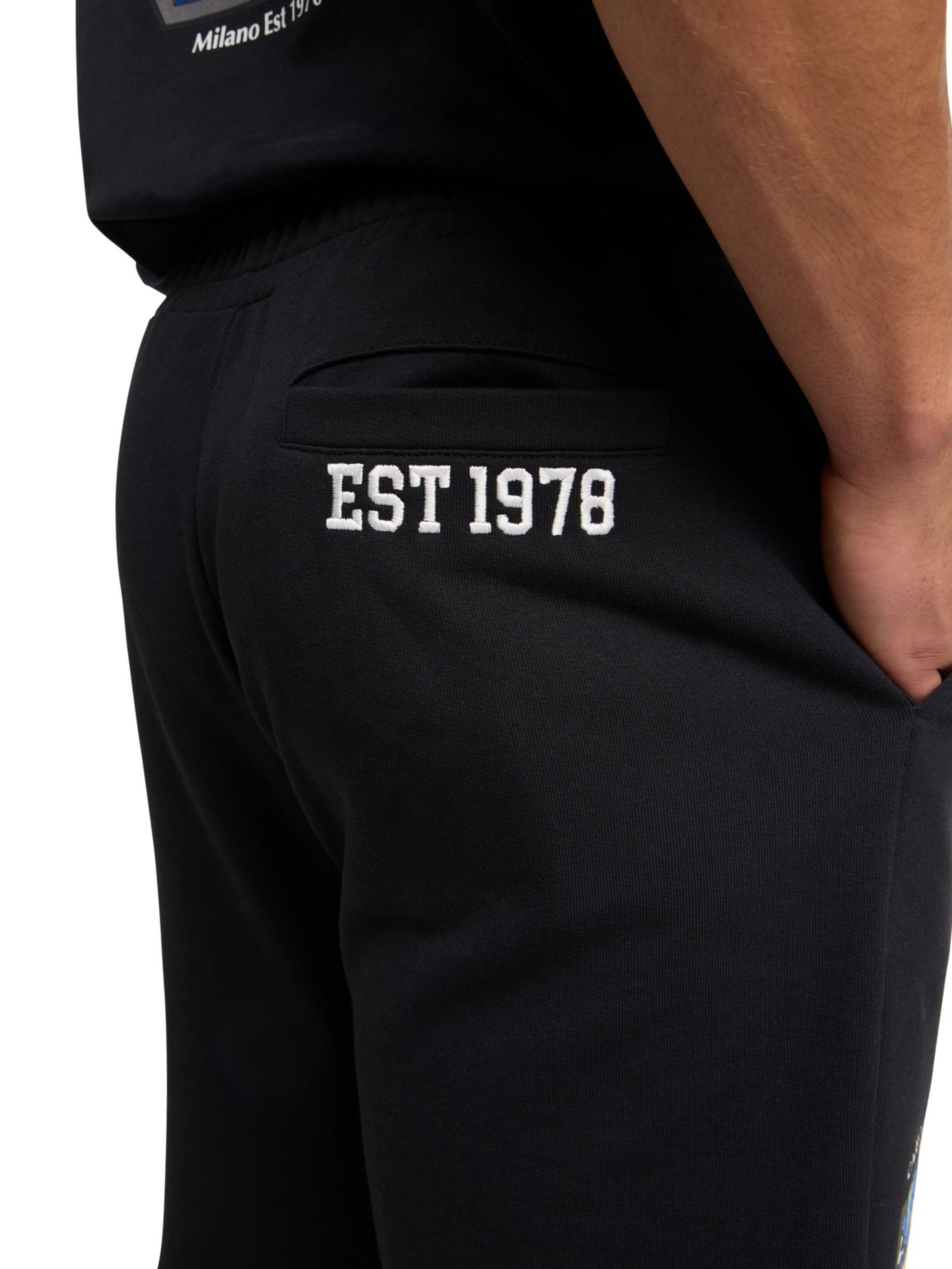 Regular Pantalon 'Eickhorn' Carlo Colucci en noir