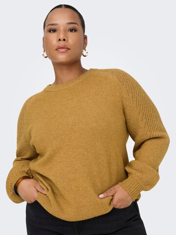 Pull-over 'CARWinsome' ONLY Carmakoma en marron