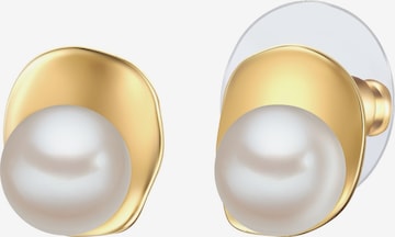 Yokoamii Ohrstecker in Gold: Vorderseite