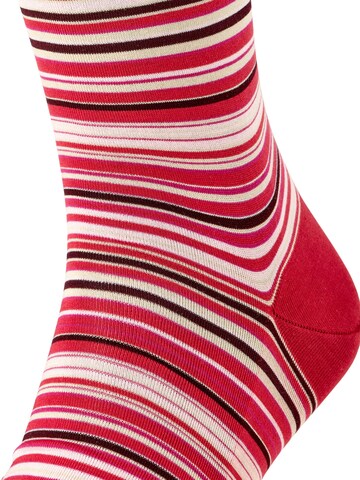 FALKE Socken 'Microblock'‌‌‌‌‌‌‌‌ in Rot