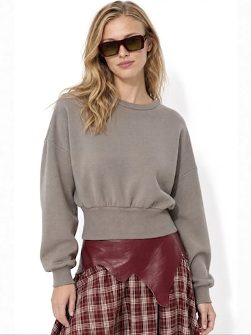 Busem Sweatshirt 'Sweatshirts' in Grijs: voorkant