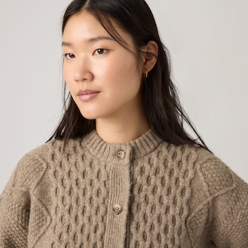 LEVI'S ® Cardigan 'CHARLOTTE' i brun