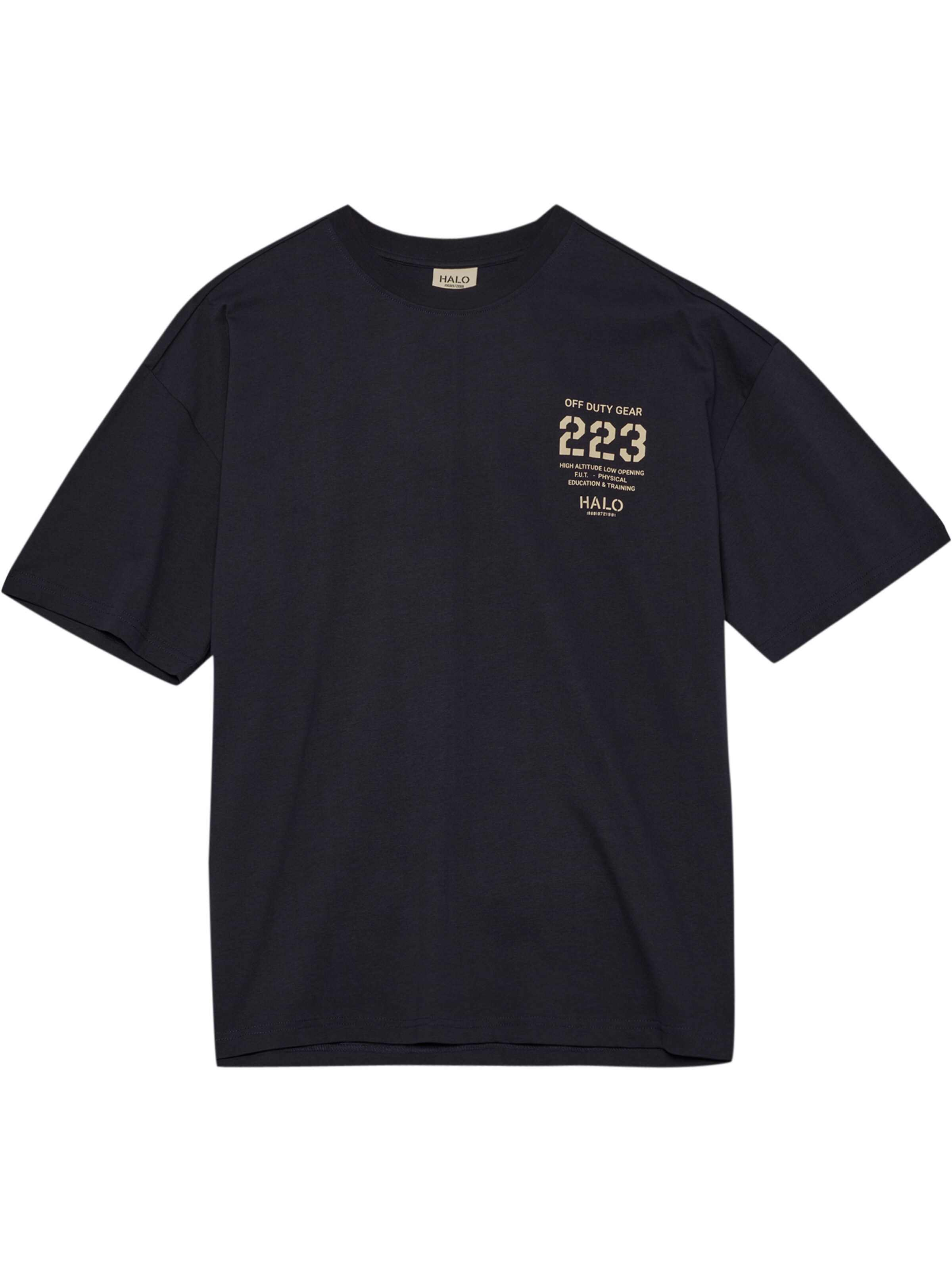 HALO Shirt in Blue: front