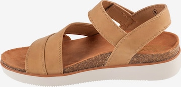 SKECHERS Sandal 'Skechers Lifted Comfort' in Brown: front