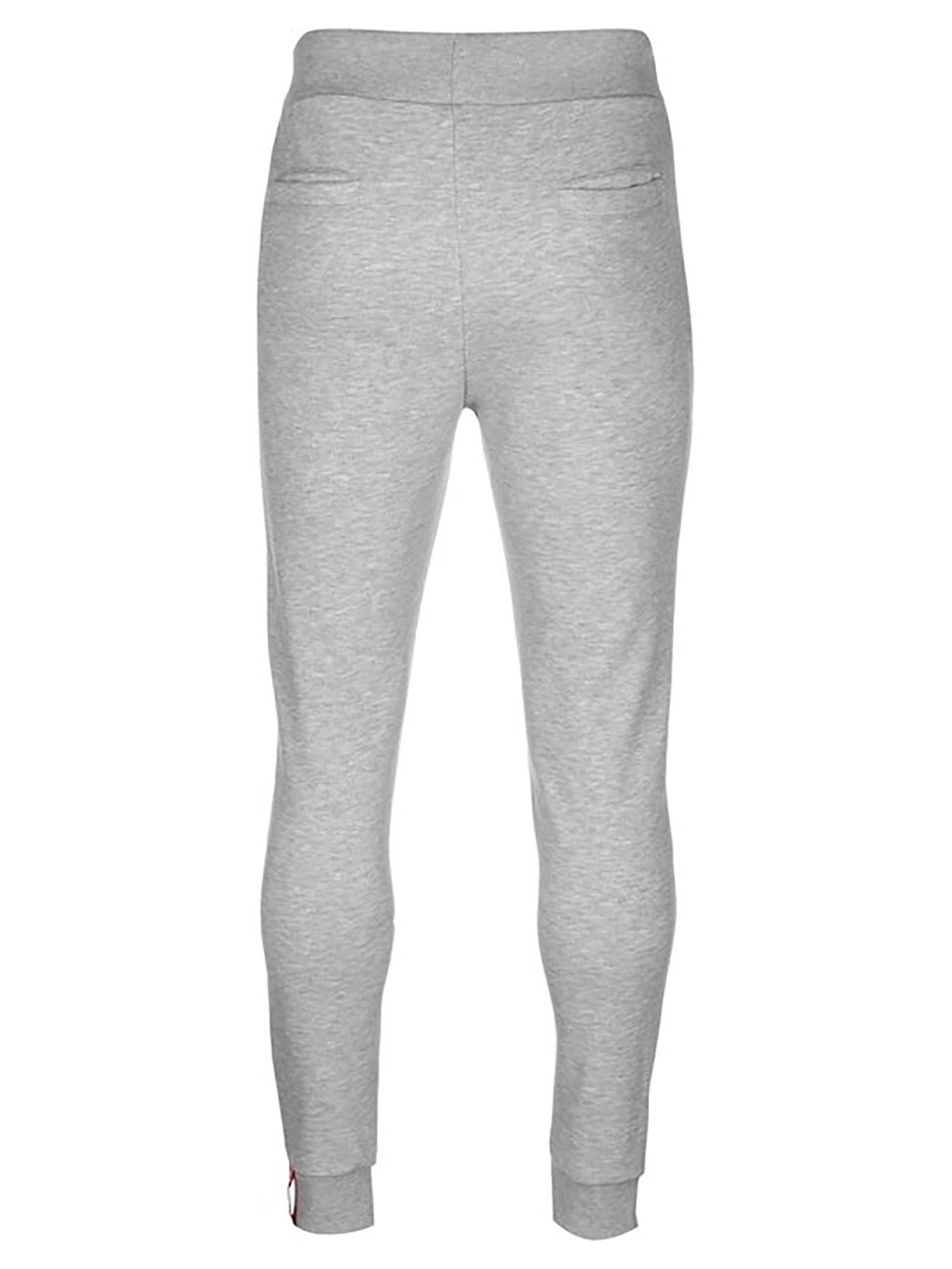 ALPHA INDUSTRIES Regular Pants 'Big Letters' in Grey