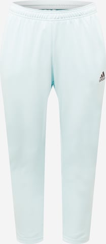 ADIDAS SPORTSWEAR Regular Workout Pants 'Tiro ' in Blue: front