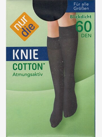 Nur Die Kniestrümpfe ' Cotton 60 DEN ' in Schwarz