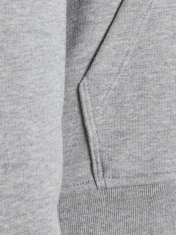 JJXX Sweatshirt 'Anina' in Grey