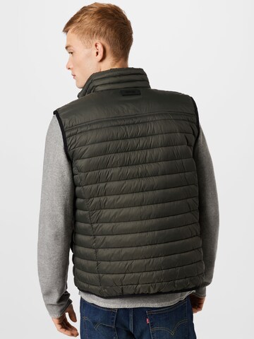 CINQUE Bodywarmer in Groen