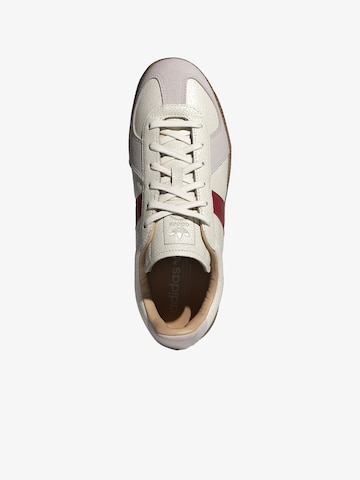 ADIDAS - Sapatilhas baixas em bege