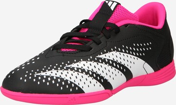 ADIDAS PERFORMANCE - Calzado deportivo 'Predator Accuracy.4 Indoor Sala' en negro: frente