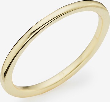 HECHTER PARIS Ring in Gold: front