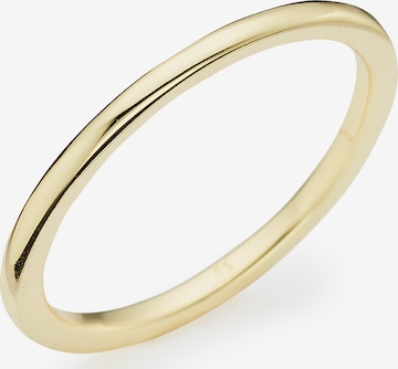 HECHTER PARIS Ring in Gold: predná strana