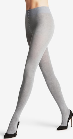 FALKE Tights 'Family' in Grey: front