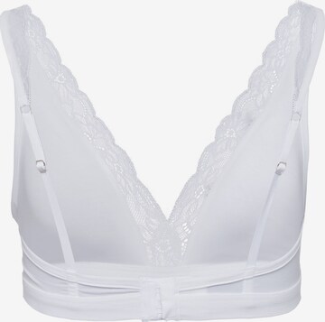 Hanro Triangle Bra ' Cotton Lace ' in White