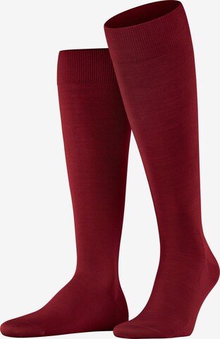 FALKE Knee High Socks 'ClimaWool' in Red: front