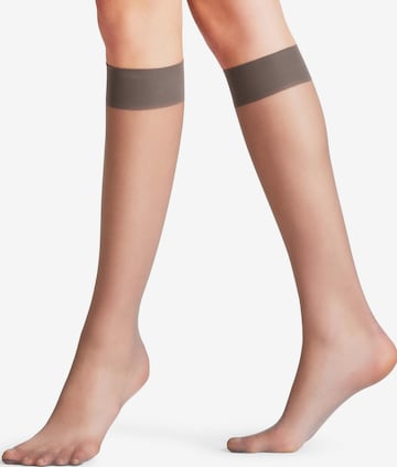 FALKE Knee High Socks 'Seidenglatt' in Grey: front