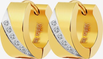 Akzent Earrings 'Esme, langlebig' in Gold: front