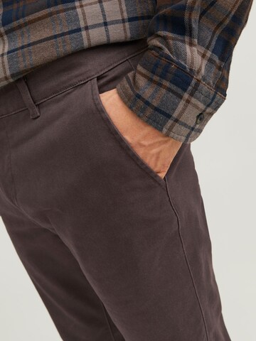 Regular Pantalon chino 'Marco Dave' JACK & JONES en marron