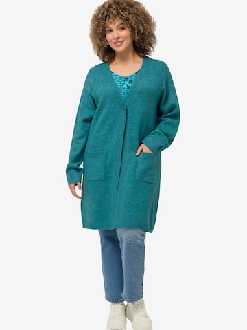 Ulla Popken Knit Cardigan in Blue