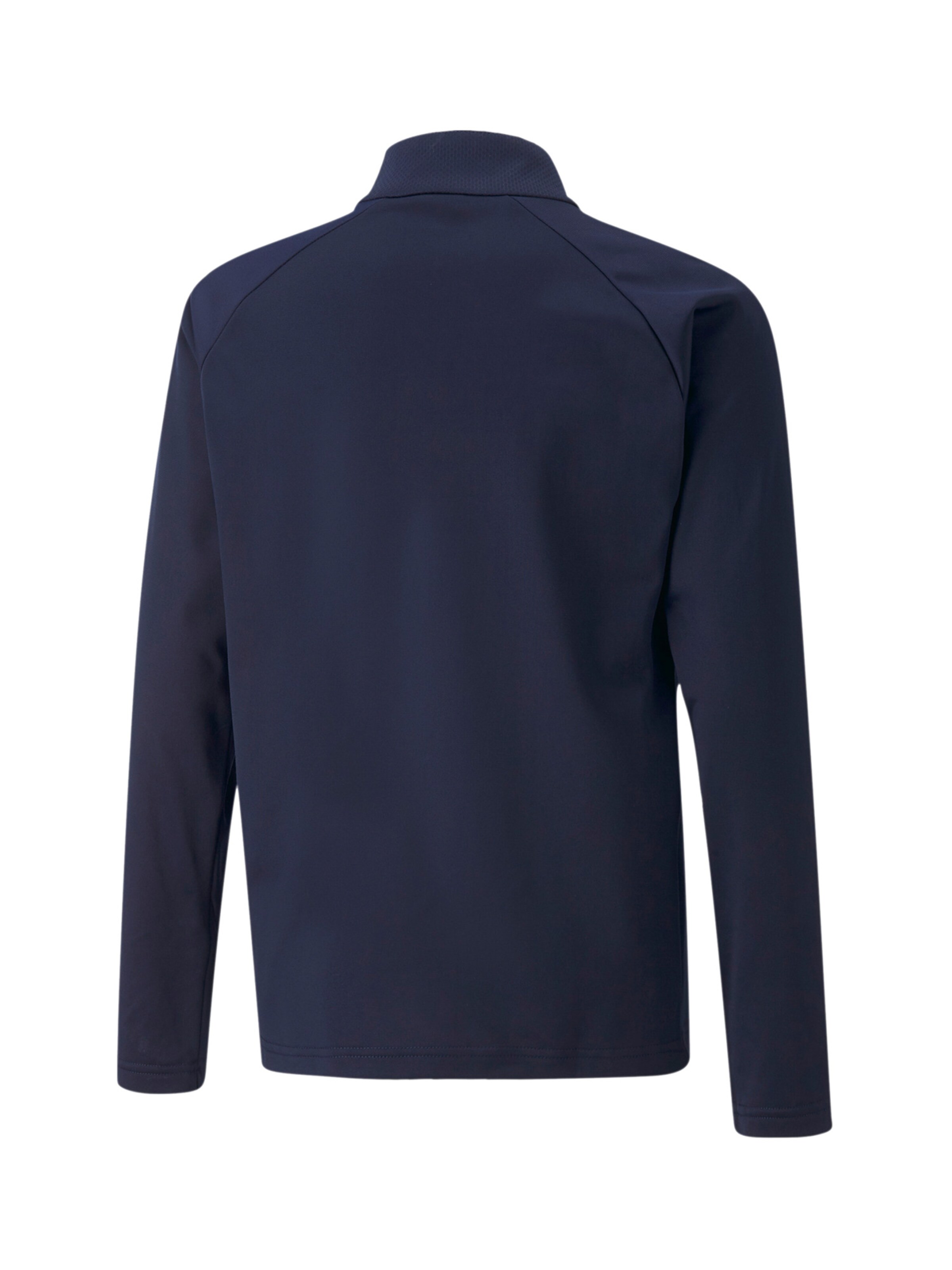 PUMA Funktionsshirt 'TeamLiga 14' in Blau