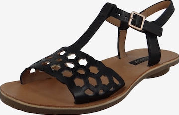 Sandales 'Daphni' Neosens en noir : devant