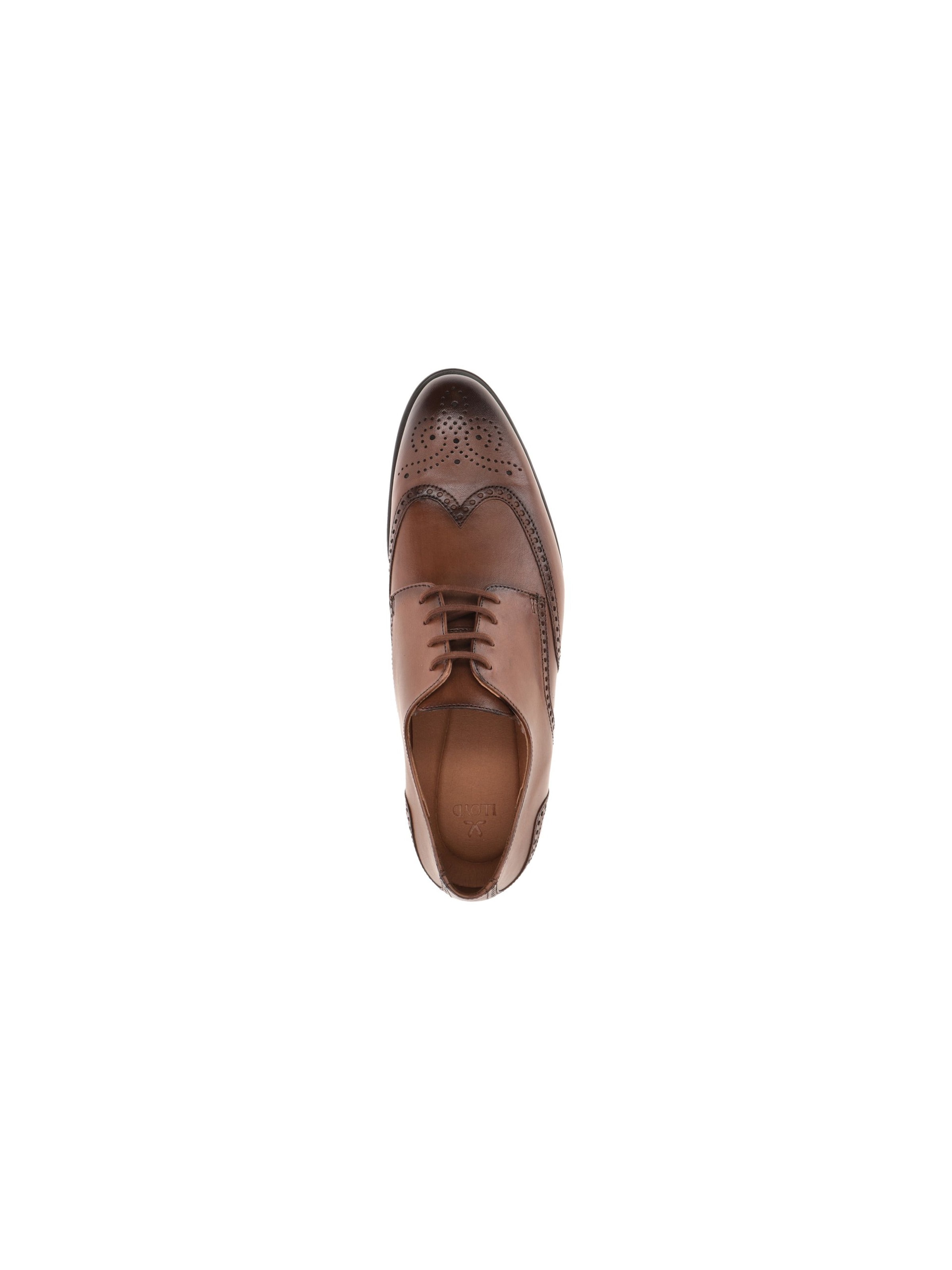 LLOYD Lace-Up Shoes 'Eezy' in Brown