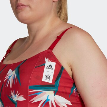 ADIDAS SPORTSWEAR - Soutien Bustier Soutien de desporto 'Thebe Magugu Studio Light-Support ' em vermelho