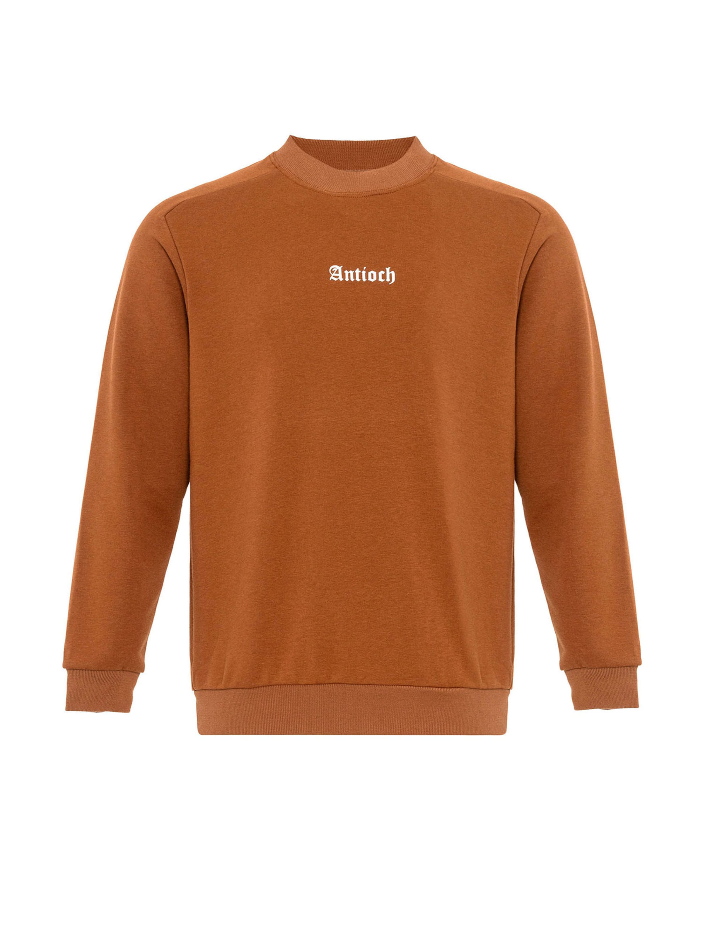 Antioch Mikina - Hnedá: predná strana