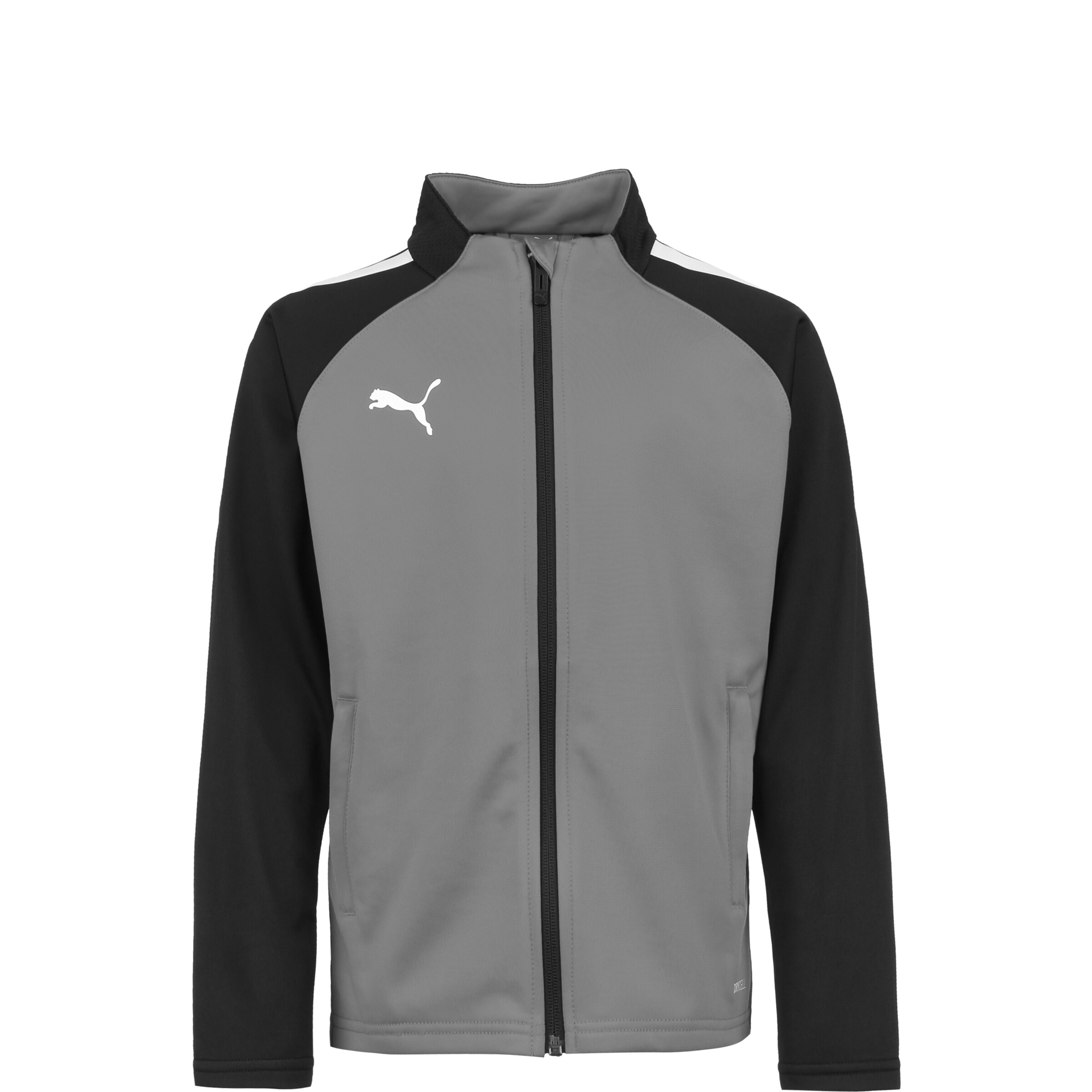 PUMA Sportjacke 'TeamLIGA' in Grau: Vorderseite