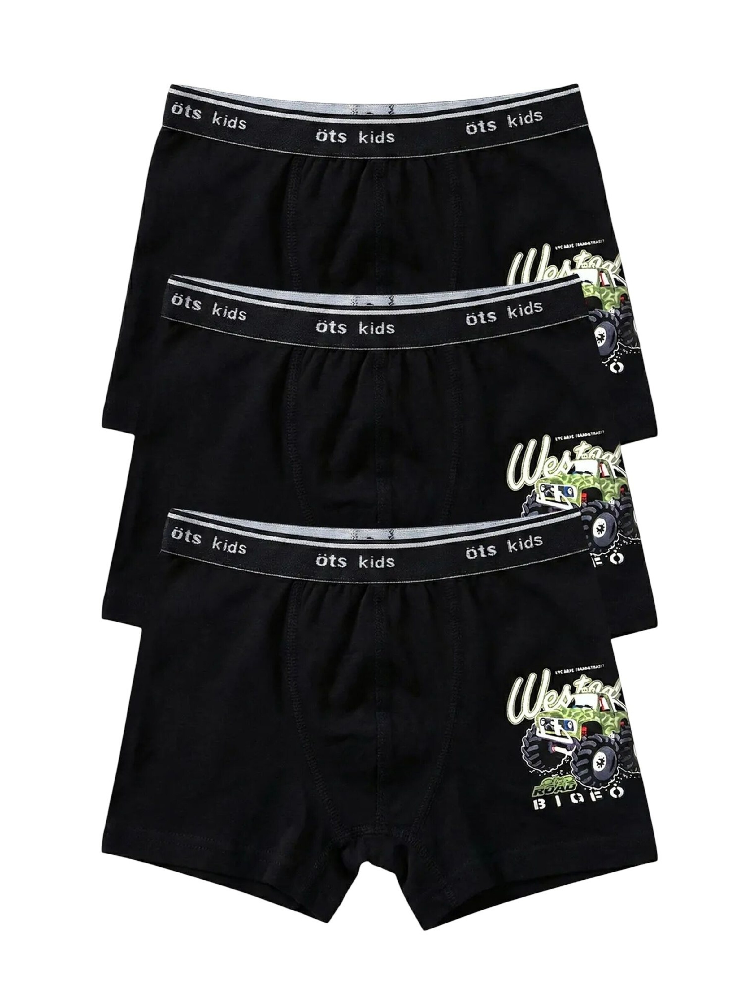 ÖTS Underpants 'ÖTS Herren Boxershorts' in Mixed colours: front