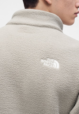 THE NORTH FACE Tröja 'FLEESKI' i grå: baksida