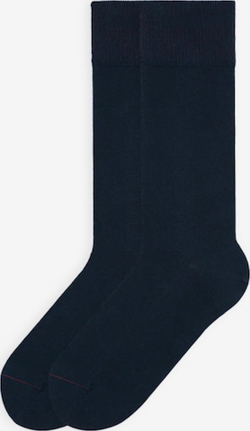 Von Jungfeld Socks 'SIGNATURE' in Blue: front