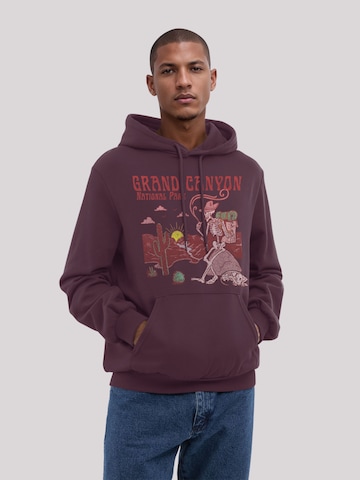 Sweat-shirt 'US National Parks Grand Canyon Sunrise' F4NT4STIC en marron : devant