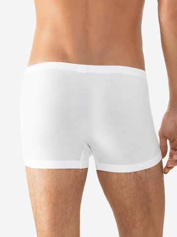 Mey Boxer shorts 'Network' in White