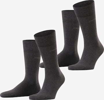 ESPRIT Socks 'Basic Easy 2-Pack' in Grey: front