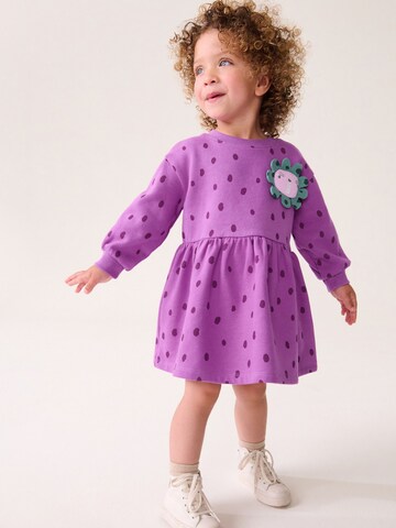 Next Dress in Purple: front