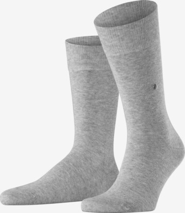 Chaussettes BURLINGTON en gris : devant