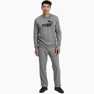 PUMA Sweatshirt in Grau