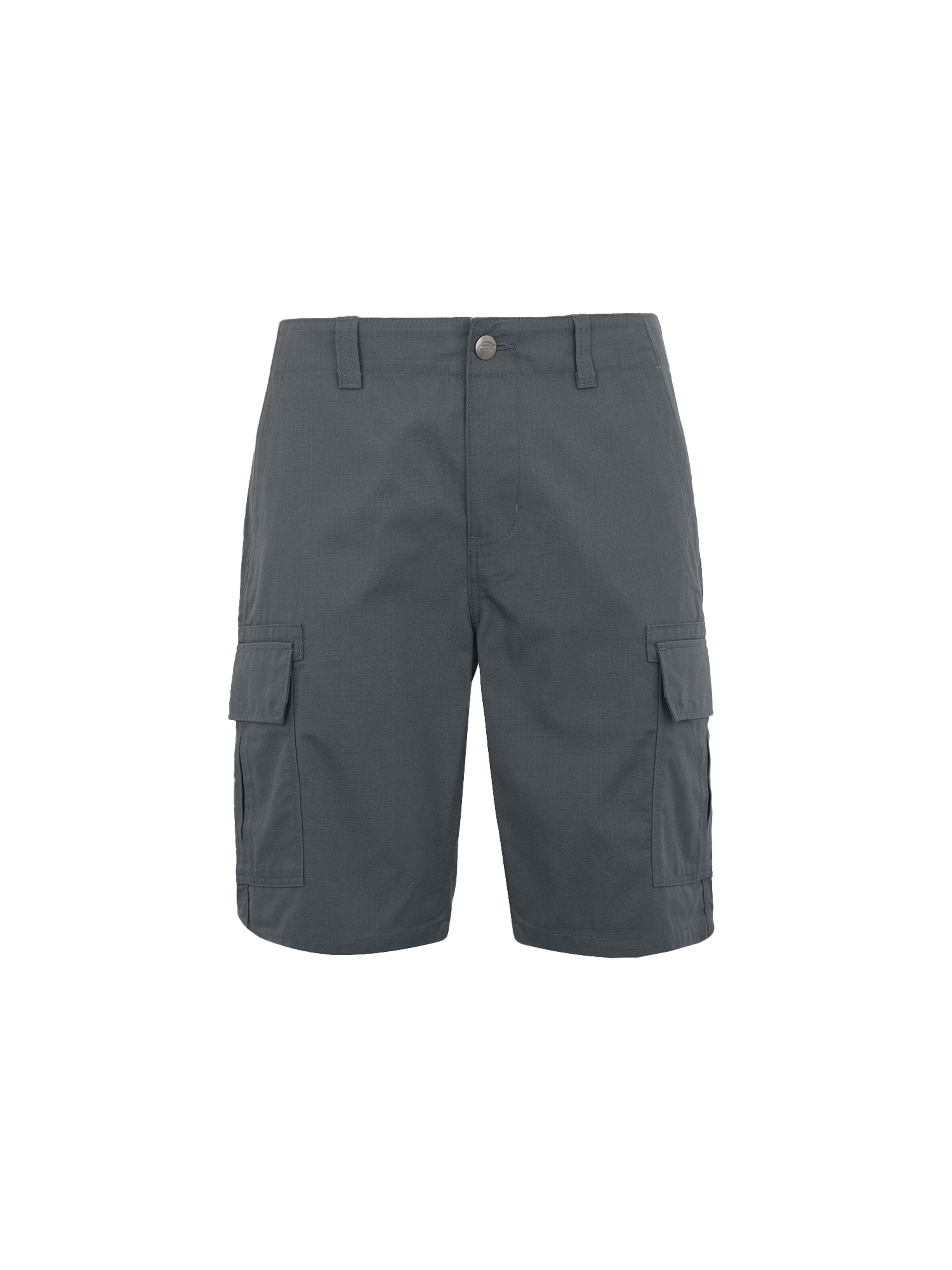 DICKIES Regular Cargo trousers in Grey: front