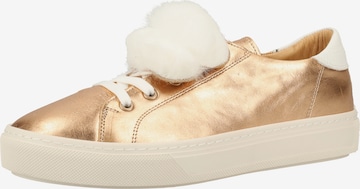 Darkwood Sneaker in Gold: predná strana