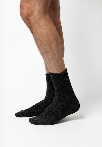 SNOCKS Socks in Black: front