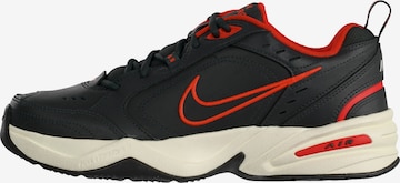 NIKE - Sapatilha de desporto 'Air Monarch IV' em cinzento: frente