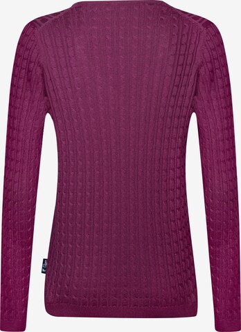 DENIM CULTURE Sweater 'Verla' in Purple