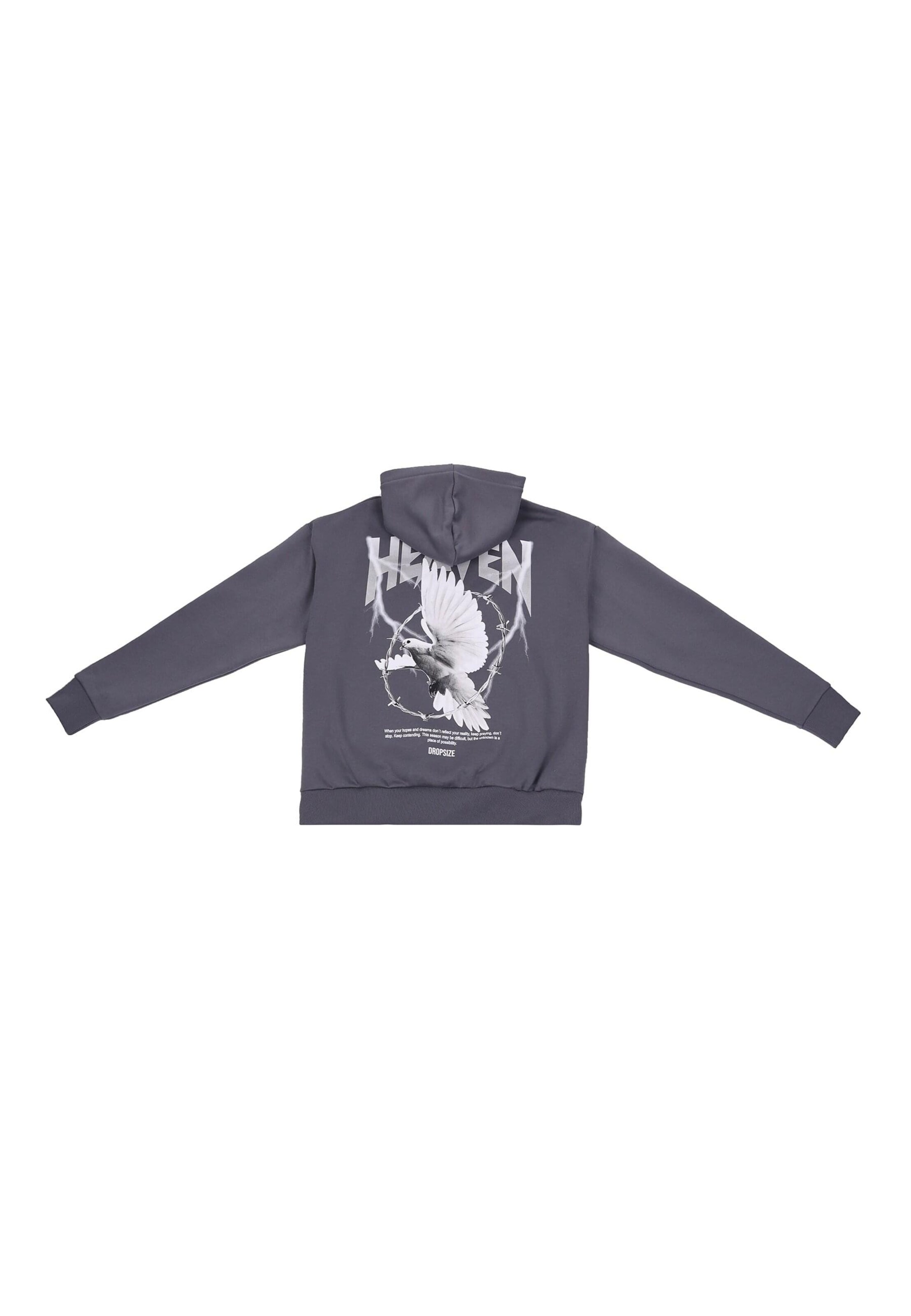 Dropsize Sweatshirt 'Wire Dove' in Grey