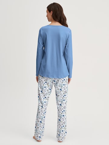 CALIDA Pajama 'Cotton Special' in Blue