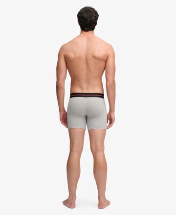 Superdry & Co Boxer shorts in Grey