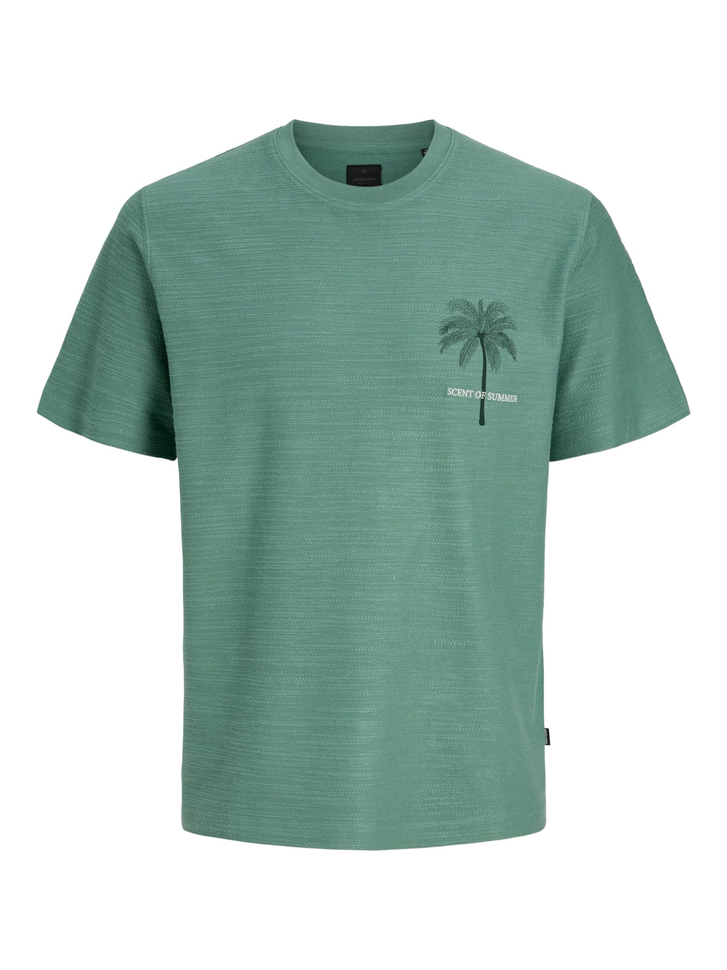 JACK & JONES Shirt 'Blaemmett' in Groen: voorkant