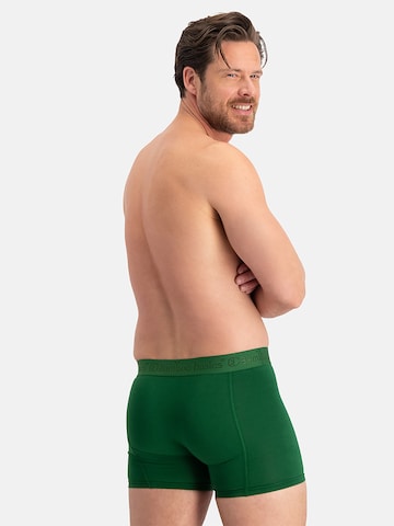 Bamboo basics Boxershorts 'Rico' in Geel